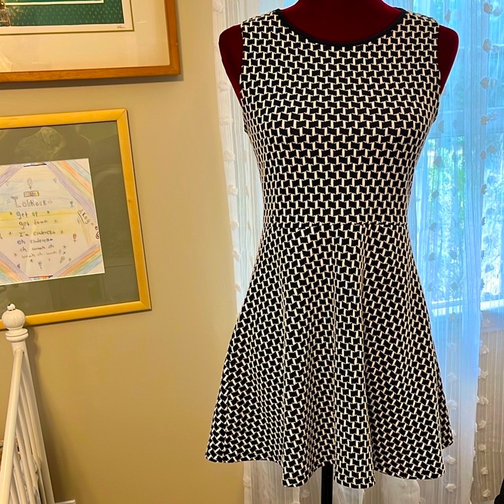 Ginger G Black and White Sleeveless Mini Dress A-Line